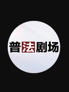 金牌调解2024